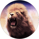 pico M. profile picture